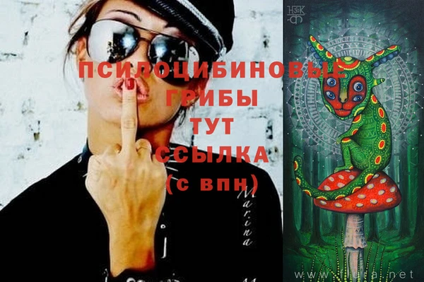 мет Нягань